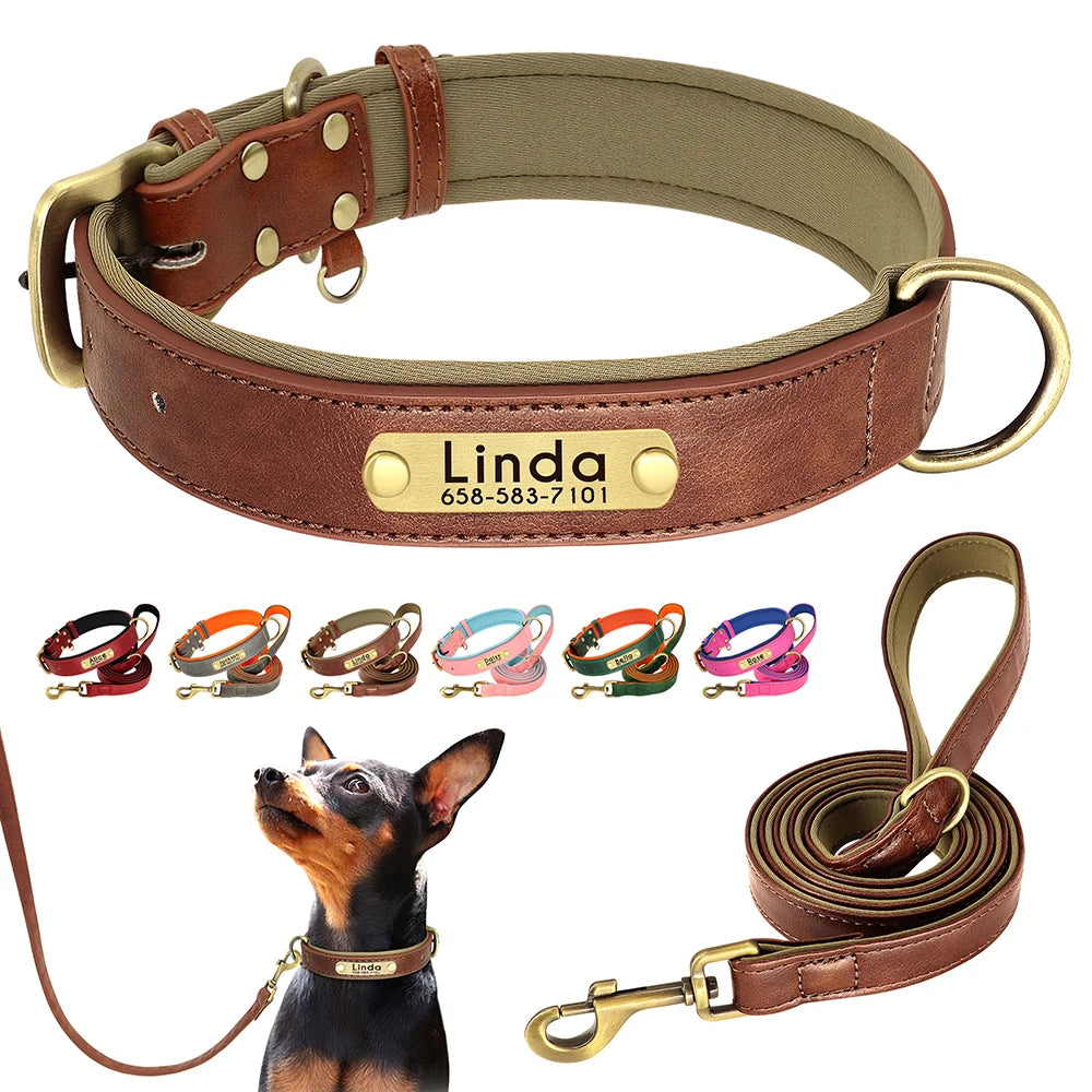 Personalized Premium Custom Dog Collar & Leash Set