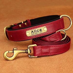 Personalized Premium Custom Dog Collar & Leash Set