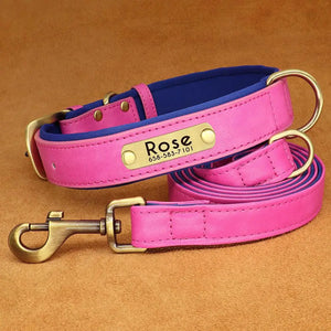 Personalized Premium Custom Dog Collar & Leash Set